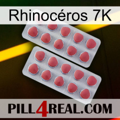 Rhinocéros 7K 19